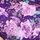 Night Ocean Small Rosey Florals Purple