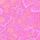 Pink Berry