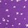Wild Pansy Starry Night Purple