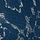Academy Blue