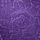 Brilliant Purple