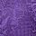 Brilliant Purple
