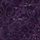 Gothic Purple