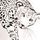 Black/White Large Leopard