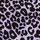 Purple Lavender Love Leopard