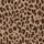 Leopard Brown