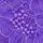 Luscious Lavender Purple