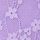 Secret Crush Purple
