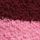 Purple Stripe