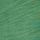 Forest Pine Green