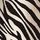 Zebra Print
