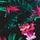 Black Tropical Palm