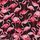 Black Flamingo Party