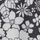 Black/White Floral