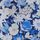 Blue/White
