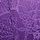 Violetta Purple Lace