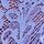 Very Winkle Blue Paisley Lace