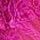 Fuchsia Pink
