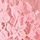 Pink Roses