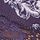 Valiant Purple Floral Lace