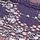 Valiant Purple Lace
