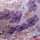 Jasmine Purple Embroidered