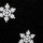 Black Snowflakes Posey