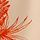 Tropical Toile Orange