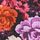 Pure Black Garden Floral