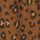 Brown Leopard