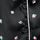 Black Rosebuds