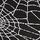 Black Halloween Spider Web