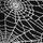 Black Halloween Spiderweb