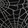 Black Spiderweb