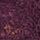 Dark Violet