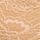 Sweet Praline Nude
