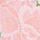 Meadow Floral Pink