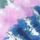 Tie Dye Ensign Navy Blue