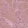 Pastel Lavender Purple