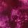 Tie Dye Cloudy Dahlia Pink