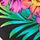 Pure Black Vivid Flowers