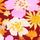 Desire Large Floral