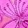 Very Fuchsia Pink