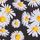 Black Mini Daisies