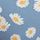 Blue Falling Daisies