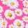 Pink Mini Daisies