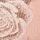 Peaceful Rose