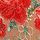 Tomato Red Embroidered Illuminating Blooms