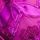 Very Fuchsia Pink
