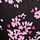 Black Flutter Floral